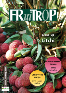 Magazine's thumb Magazine FruiTrop n°226 (vendredi 31 octobre 2014)